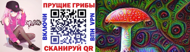 магазин продажи   Тамбов  Галлюциногенные грибы прущие грибы 